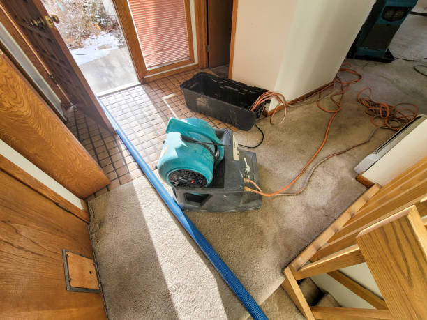 Best Emergency water damage restoration  in Palisades Park, NJ